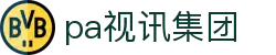 PA视讯集团官网